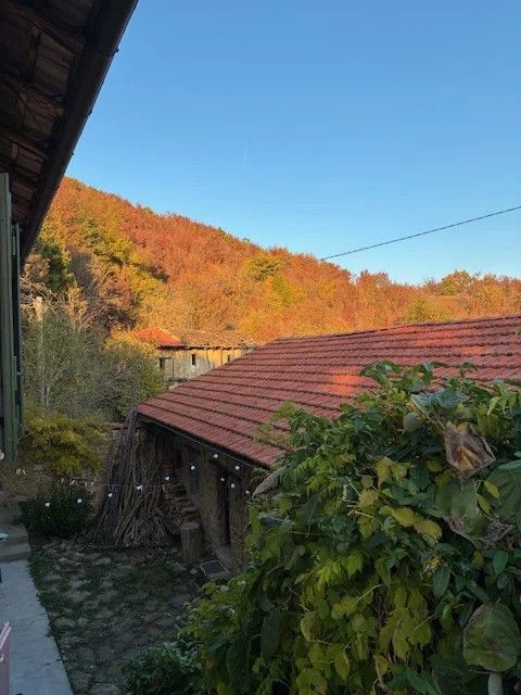 Uitzicht over de heuvels in de herfst